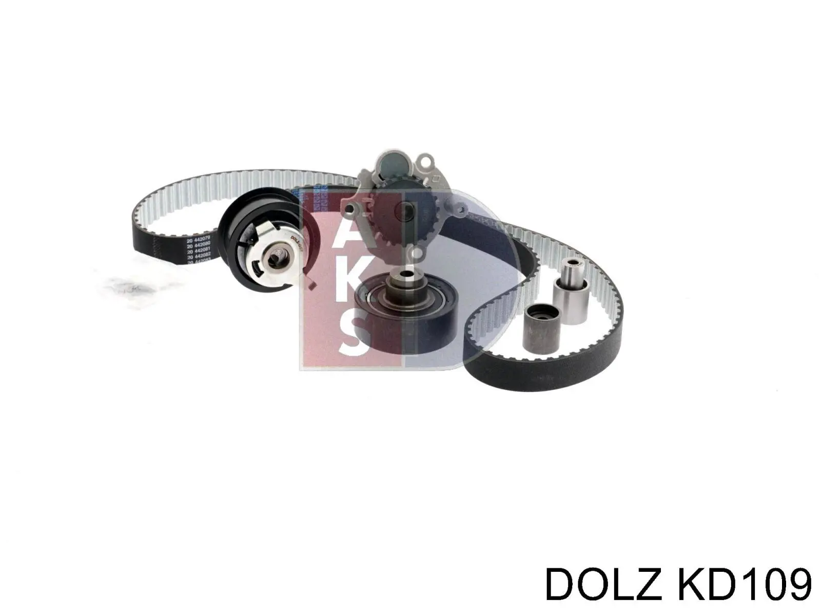 KD109 Dolz kit correa de distribución