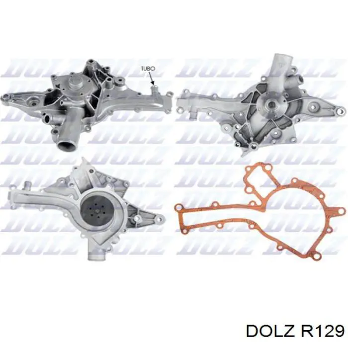 R129 Dolz bomba de agua