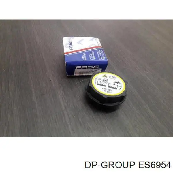 ES6954 DP Group 