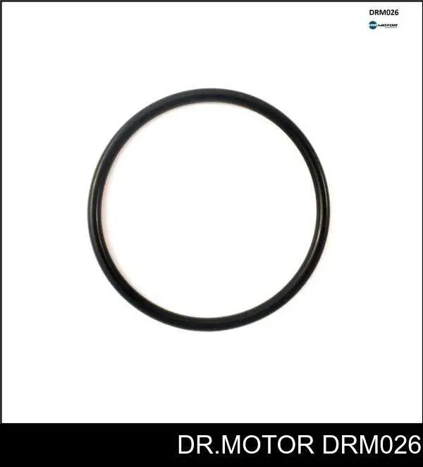 DRM026 Dr.motor 