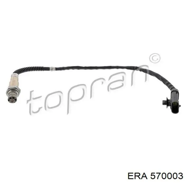 570003 ERA sonda lambda sensor de oxigeno post catalizador