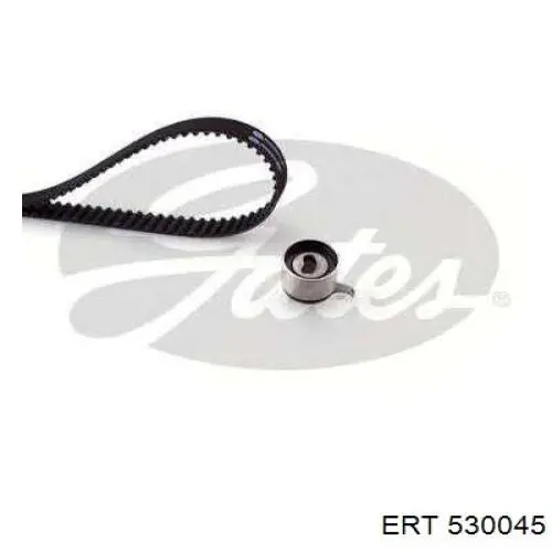 530045 ERT sensor abs delantero