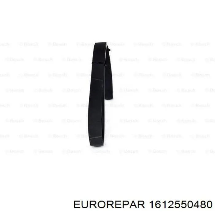 1612550480 Eurorepar correa trapezoidal