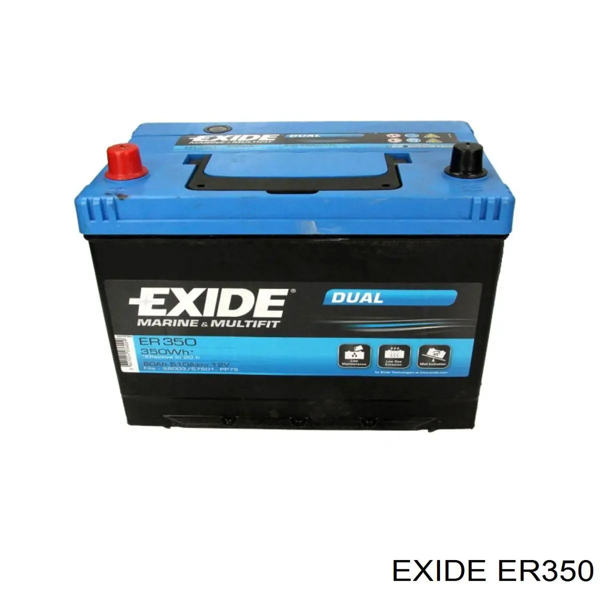 ER350 Exide batería de arranque