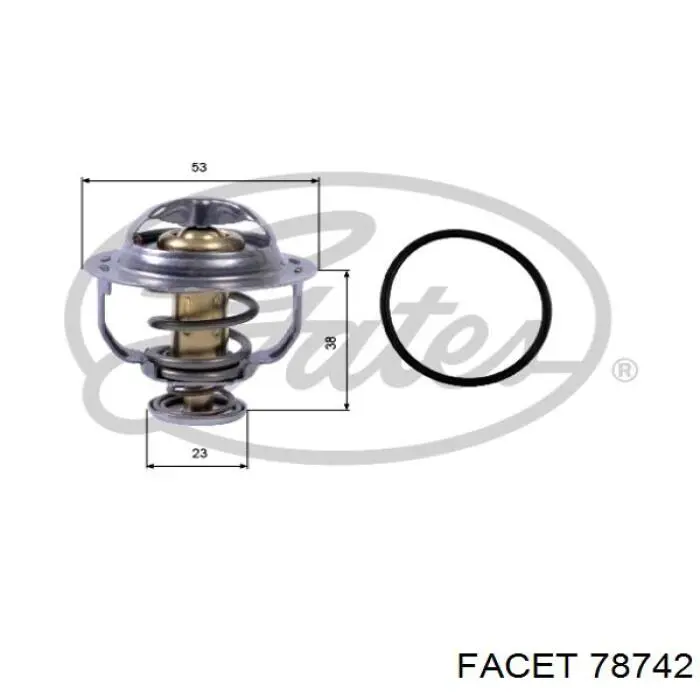 DT1031V Dayco termostato, refrigerante