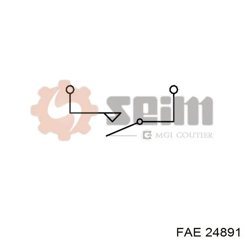 24891 FAE interruptor luz de freno