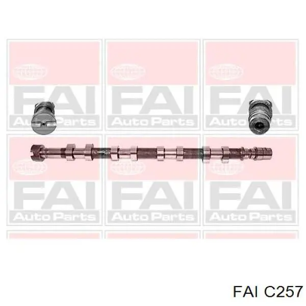 C257 FAI árbol de levas escape