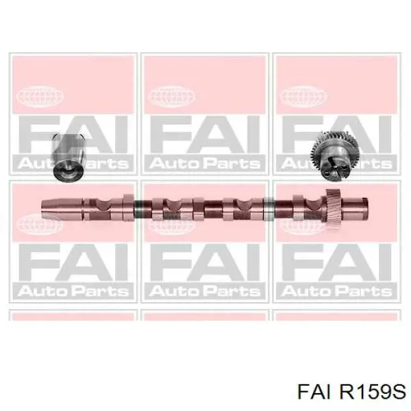 R159S FAI palanca oscilante, distribución del motor