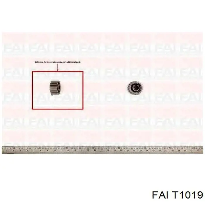 T1019 FAI rodillo, cadena de distribución