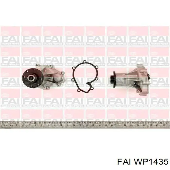 WP1435 FAI bomba de agua