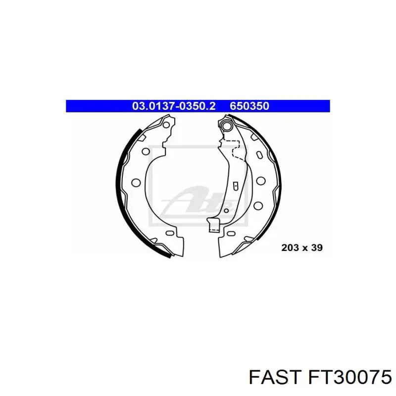 FT30075 Fast zapatas de frenos de tambor traseras