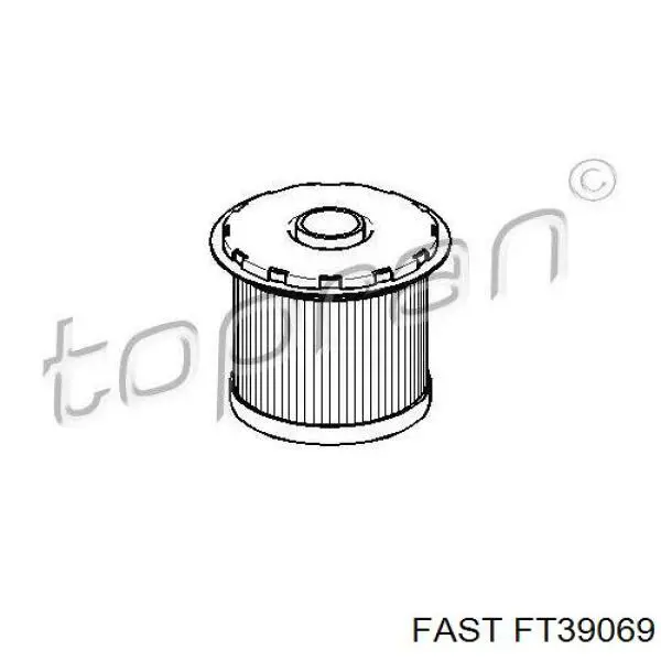 FT39069 Fast filtro combustible