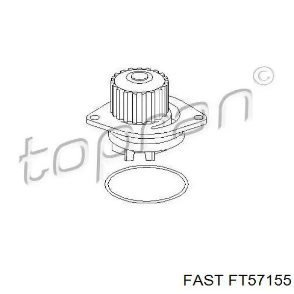 FT57155 Fast bomba de agua