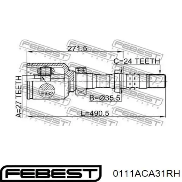 0111ACA31RH Febest junta homocinética interior delantera derecha