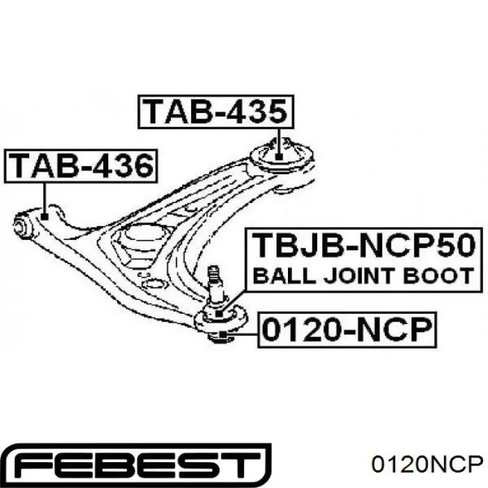 0120-NCP Febest rótula de suspensión inferior