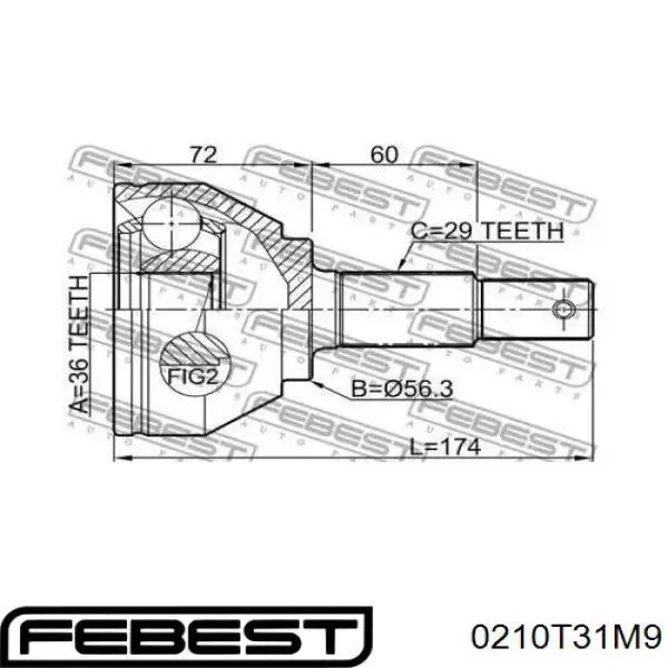 0210-T31M9 Febest junta homocinética exterior delantera