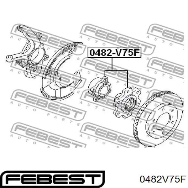 0482-V75F Febest cubo de rueda delantero