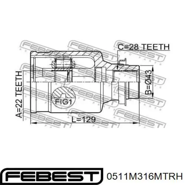 0511-M316MTRH Febest junta homocinética interior delantera derecha