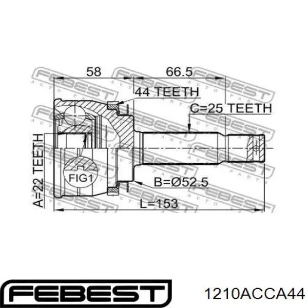 1210-ACCA44 Febest junta homocinética exterior delantera