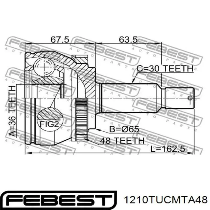 1210TUCMTA48 Febest junta homocinética exterior delantera