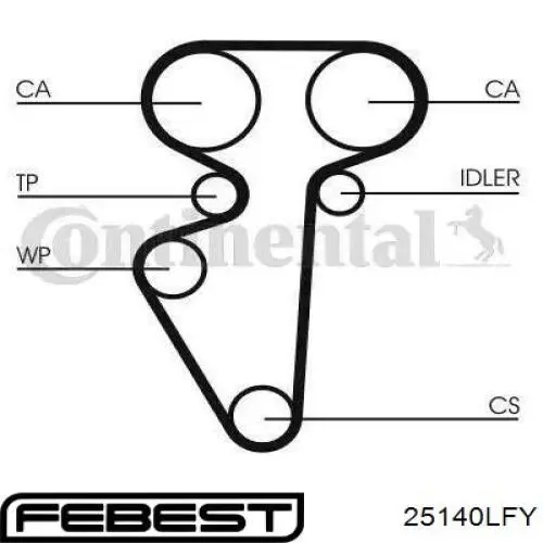 25140-LFY Febest correa distribucion