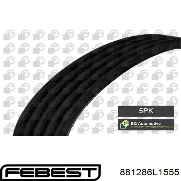 88128-6L1555 Febest correa trapezoidal