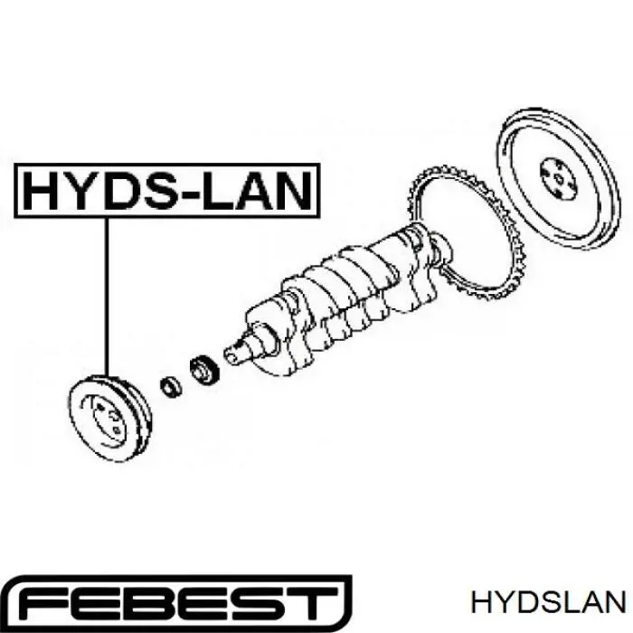 HYDSLAN Febest polea, cigüeñal