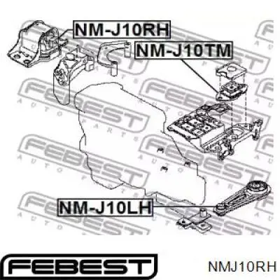 NM-J10RH Febest soporte de motor derecho