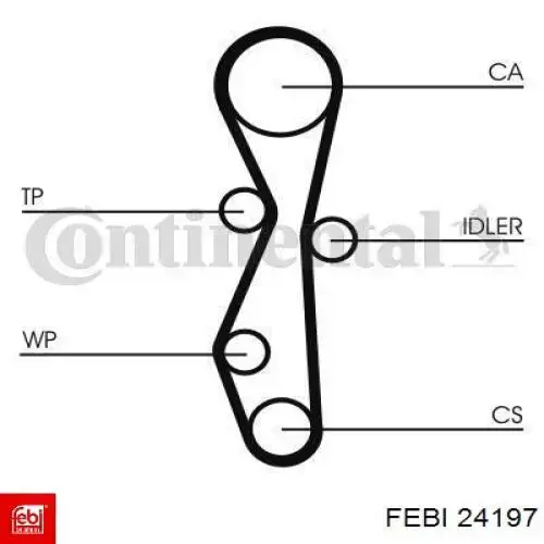 24197 Febi correa distribucion