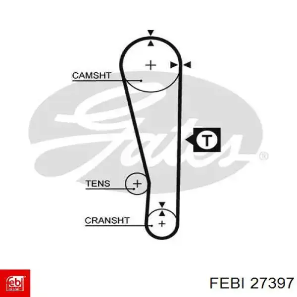 27397 Febi correa distribucion