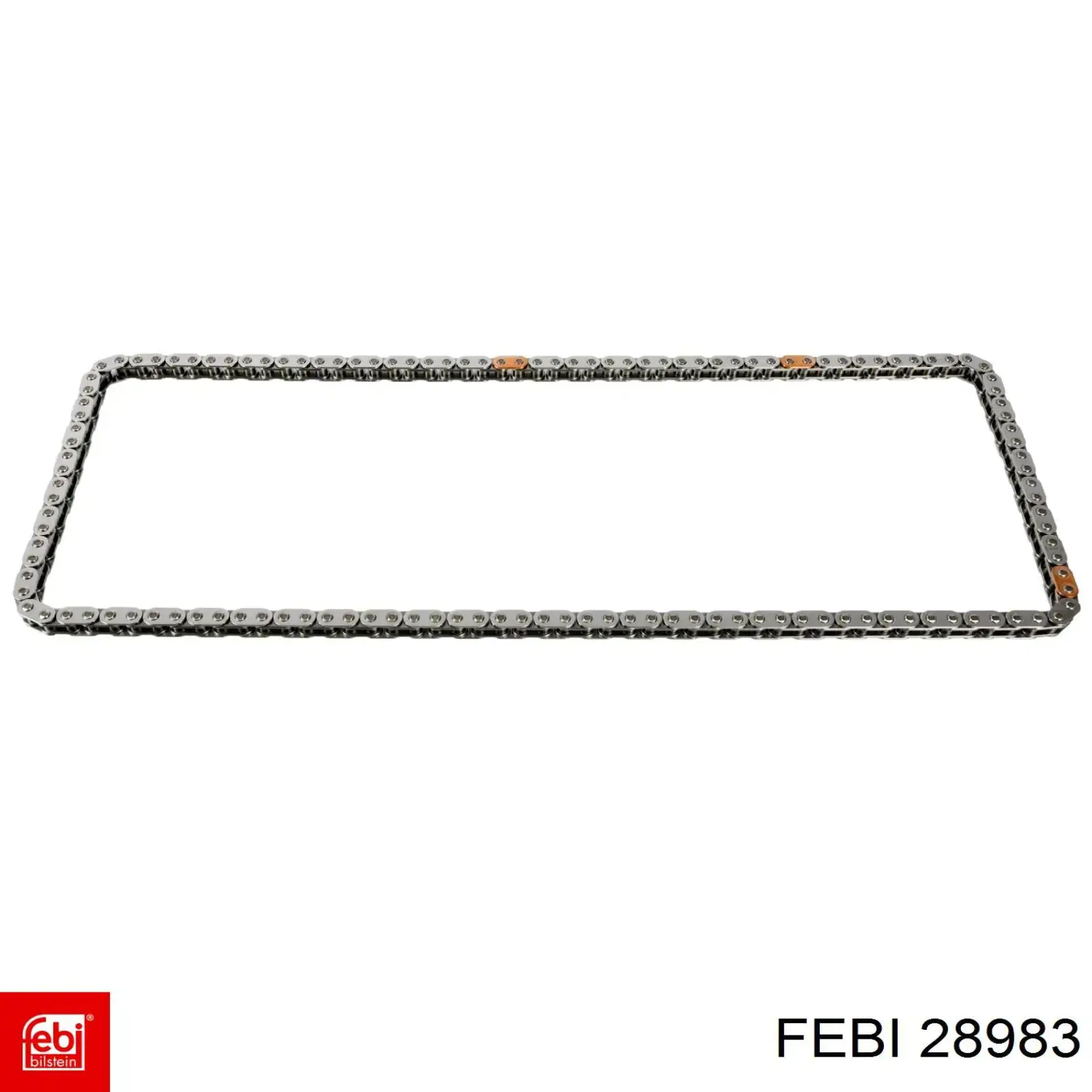 28983 Febi correa trapezoidal