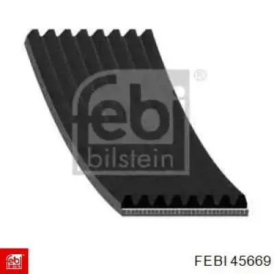 45669 Febi correa trapezoidal