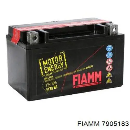 7905183 Fiamm 