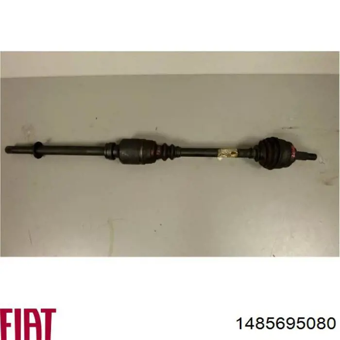 1485695080 Fiat/Alfa/Lancia árbol de transmisión delantero derecho