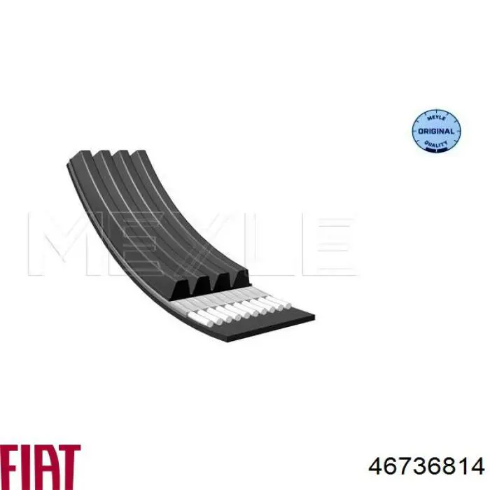 46736814 Fiat/Alfa/Lancia correa trapezoidal