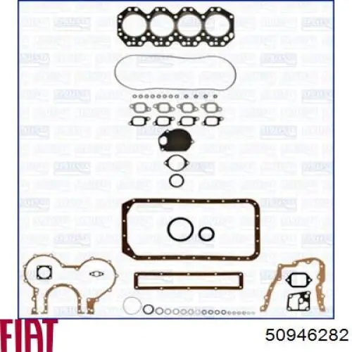 50 94 6282 Fiat/Alfa/Lancia correa, bomba de alta presión