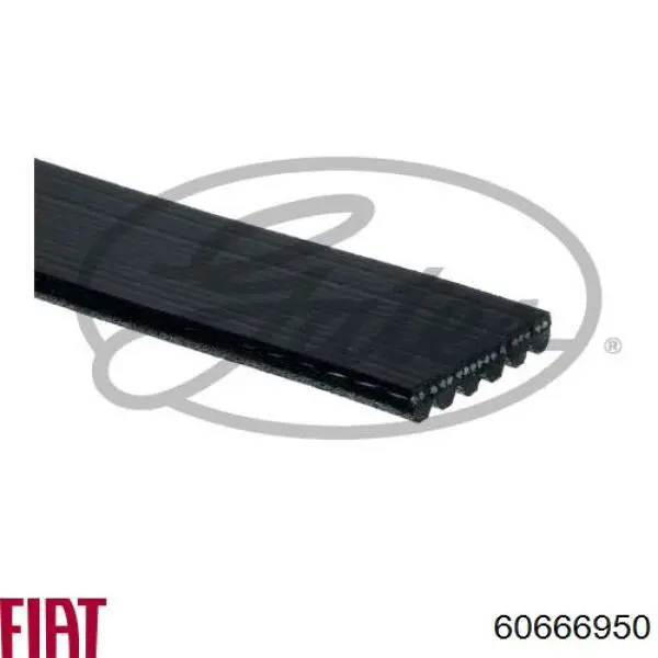 60666950 Fiat/Alfa/Lancia correa trapezoidal