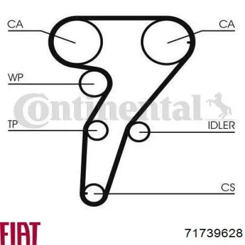 71739628 Fiat/Alfa/Lancia correa distribucion