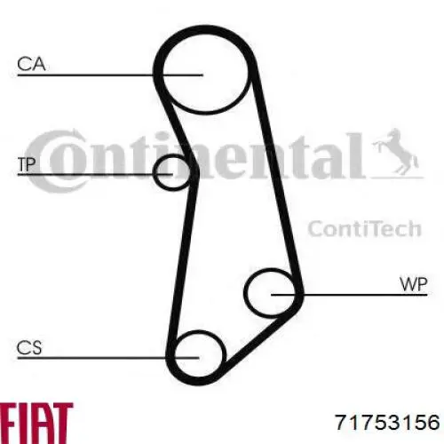 71753156 Fiat/Alfa/Lancia correa distribucion