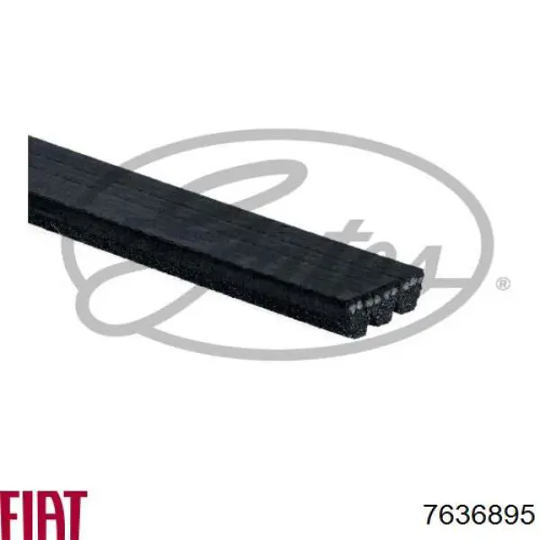 7636895 Fiat/Alfa/Lancia correa trapezoidal