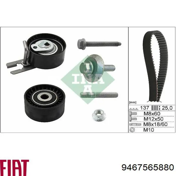 9467565880 Fiat/Alfa/Lancia correa distribucion