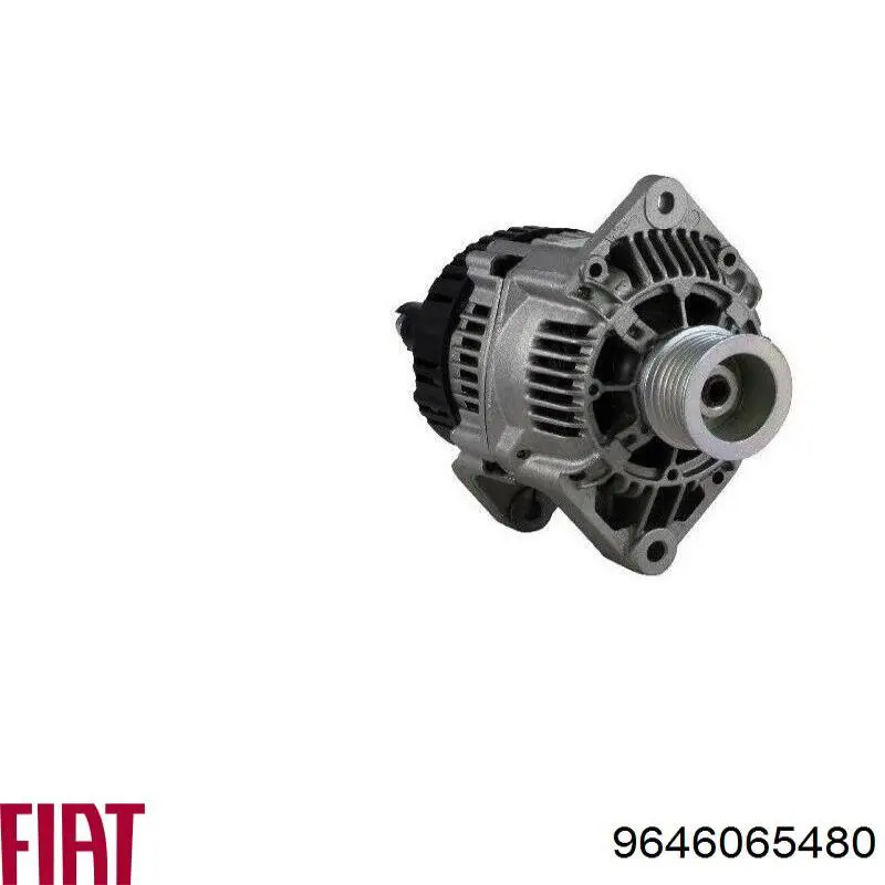 9646065480 Fiat/Alfa/Lancia alternador