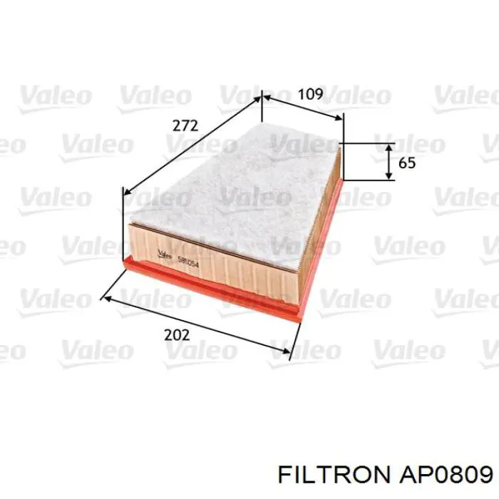 AP0809 Filtron filtro de aire