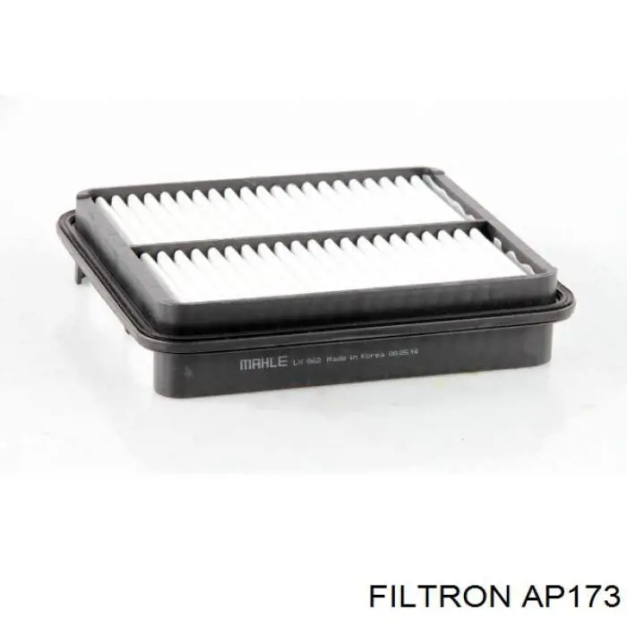 AP173 Filtron filtro de aire