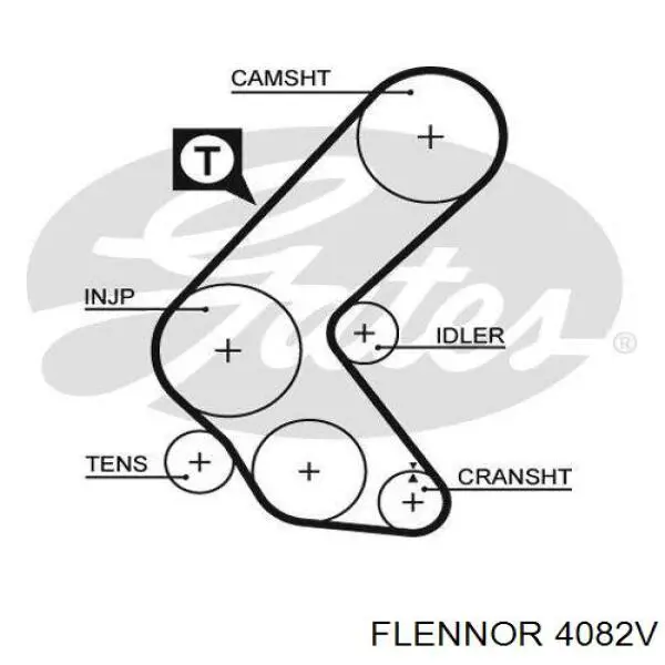 4082V Flennor correa distribucion