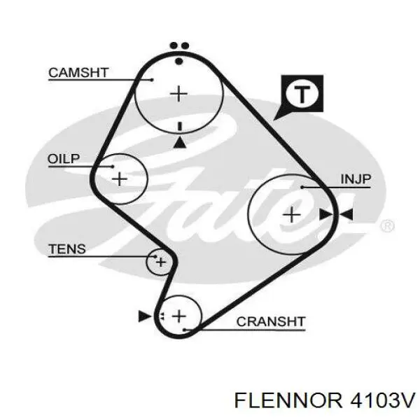 4103V Flennor correa distribucion