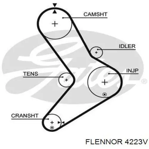 4223V Flennor correa distribucion