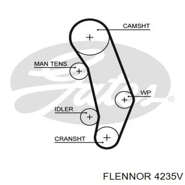 4235V Flennor correa distribucion