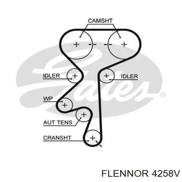 4258V Flennor correa distribucion