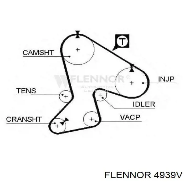 4939V Flennor correa distribucion